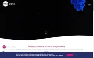 Crisp.digital Screenshot 2024-05-19 10:35:29