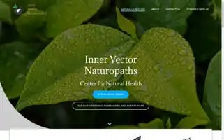 Innervectornaturopaths.com Screenshot 2024-05-24 03:22:41
