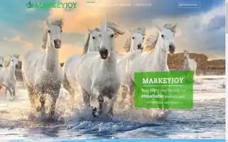 Markeyjoy.com Screenshot 2024-05-23 22:26:09