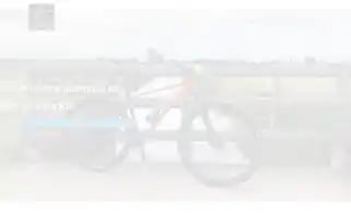 Twinheads.eu Screenshot 2024-06-18 03:24:57