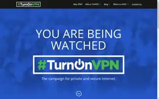 Turnonvpn.org Screenshot 2024-06-29 13:33:44