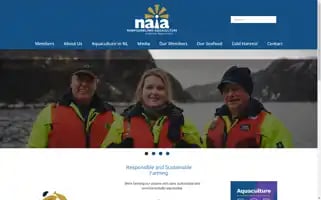 Naia.ca Screenshot 2024-07-04 01:57:37