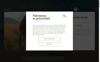 Honnehotels.com Screenshot 2024-04-19 10:49:36