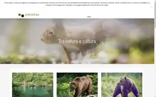 Ambientetrentino.it Screenshot 2024-06-11 22:23:41