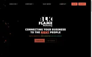 Blkflamemarketing.ca Screenshot 2024-06-15 14:45:19