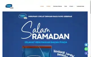 Tanweerstore.com Screenshot 2024-05-17 07:22:56