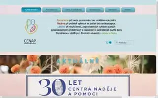 Cenap.cz Screenshot 2024-06-30 15:42:42