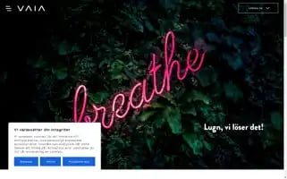 Vaia.se Screenshot 2024-07-02 04:32:46