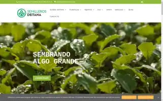 Semillerosdeitana.com Screenshot 2024-07-02 17:42:33