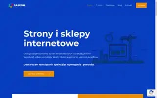 Sascom.pl Screenshot 2024-06-18 03:48:26