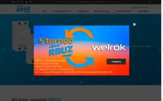 Rbuz.com.ru Screenshot 2024-06-14 11:58:16