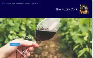 Thefuzzycork.com Screenshot 2024-05-19 07:25:49