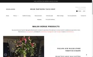 Beampartners.eu Screenshot 2024-04-17 04:14:36