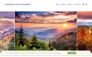 Splendoroflightphotography.com Screenshot 2024-04-16 11:25:14