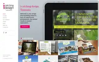 Icatchingdesigntz.com Screenshot 2024-06-16 16:45:32