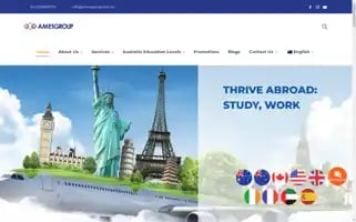 Amesgroup.com.au Screenshot 2024-06-13 22:41:21