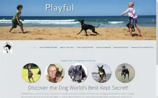 Canadamt.com Screenshot 2024-07-01 19:48:51