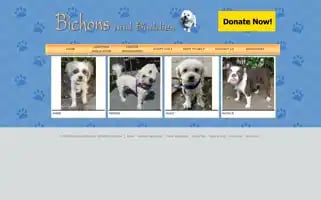 Bichonsandbuddies.com Screenshot 2024-07-01 15:28:01