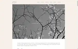 Zoihotel.com Screenshot 2024-04-14 10:31:59