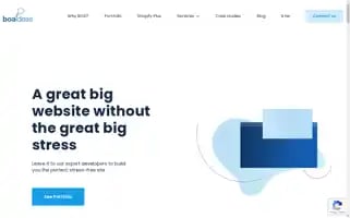 Boaideas.com Screenshot 2024-06-28 19:05:29