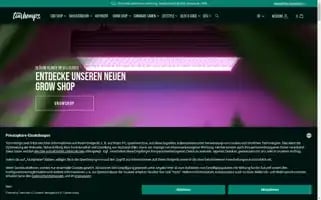 Tomhemps.com Screenshot 2024-06-12 03:46:22