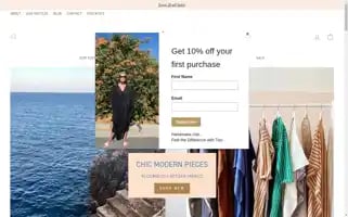 Twonewyork.com Screenshot 2024-05-05 00:37:47