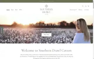 Southern-drawl-store.myshopify.com Screenshot 2024-04-15 05:13:02