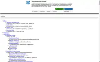 Bollfilter.com Screenshot 2024-06-18 06:02:48