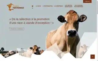 Parthenaise.fr Screenshot 2024-06-28 01:41:03