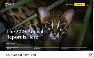 Panthera.org Screenshot 2024-07-01 02:51:35