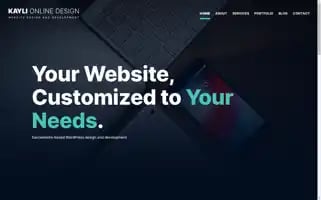 Kayli.online Screenshot 2024-06-13 18:17:45