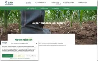 Gaya-consultants.fr Screenshot 2024-05-22 09:52:05