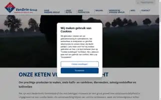Vandriegroup.com Screenshot 2024-05-14 20:19:23