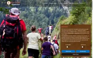 Wooltravelexperience.com Screenshot 2024-04-17 11:07:35