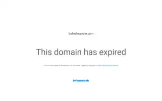 Bulledecancer.com Screenshot 2024-05-20 04:14:23