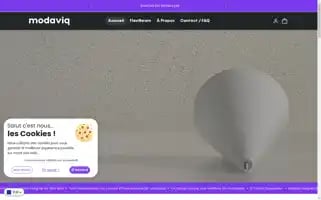 Modaviq.com Screenshot 2024-05-02 07:46:47