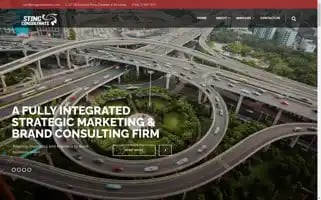 Stingconsultants.com Screenshot 2024-07-01 06:37:43