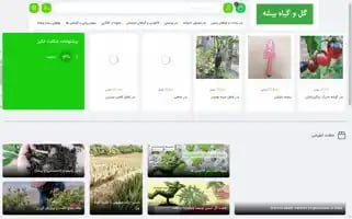 Bisheh.org Screenshot 2024-05-24 20:25:41