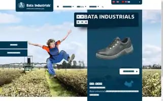 Bataindustrials.cn.com Screenshot 2024-06-29 16:25:35