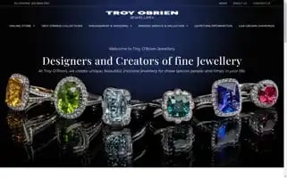 Troyobrien.com.au Screenshot 2024-07-10 00:17:55
