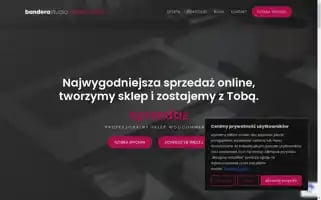 Bandera.studio Screenshot 2024-06-28 16:01:00