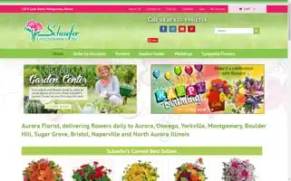 Schaefergreenhouses.com Screenshot 2024-06-11 16:50:56