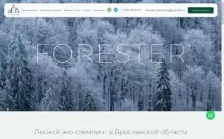 Foresterhotel.ru Screenshot 2024-04-17 13:56:11
