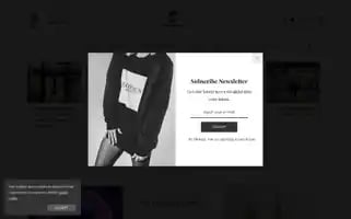 Sustainmode.com Screenshot 2024-05-26 13:37:24