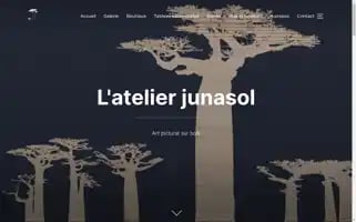 Atelier-junasol.fr Screenshot 2024-05-27 23:28:04