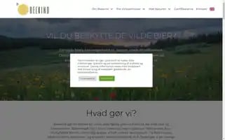 Beekind.dk Screenshot 2024-05-20 15:32:17