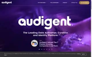 Audigent.com Screenshot 2024-07-01 15:09:47