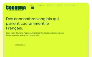 Serrestoundra.com Screenshot 2024-07-09 09:22:20