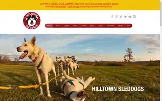 Hilltownsleddogs.com Screenshot 2024-06-30 04:12:05