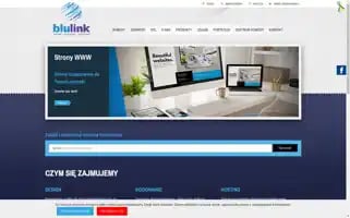 Blulink.pl Screenshot 2024-06-14 21:21:54